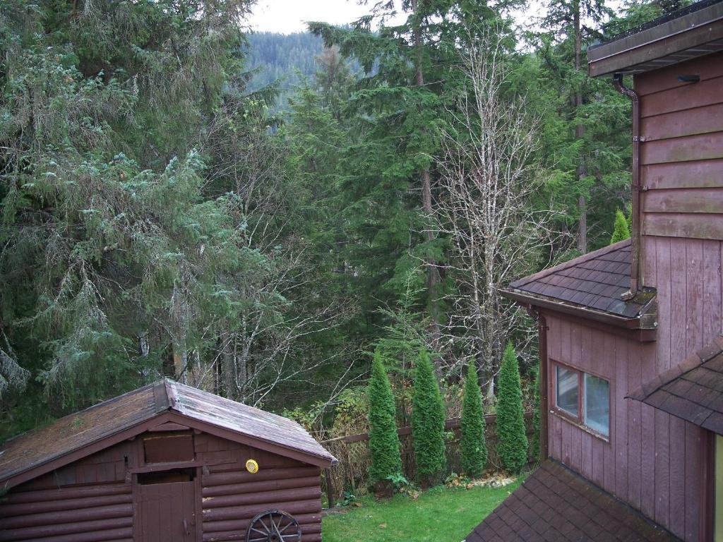 Tall Trees Bed & Breakfast Prince Rupert Ruang foto